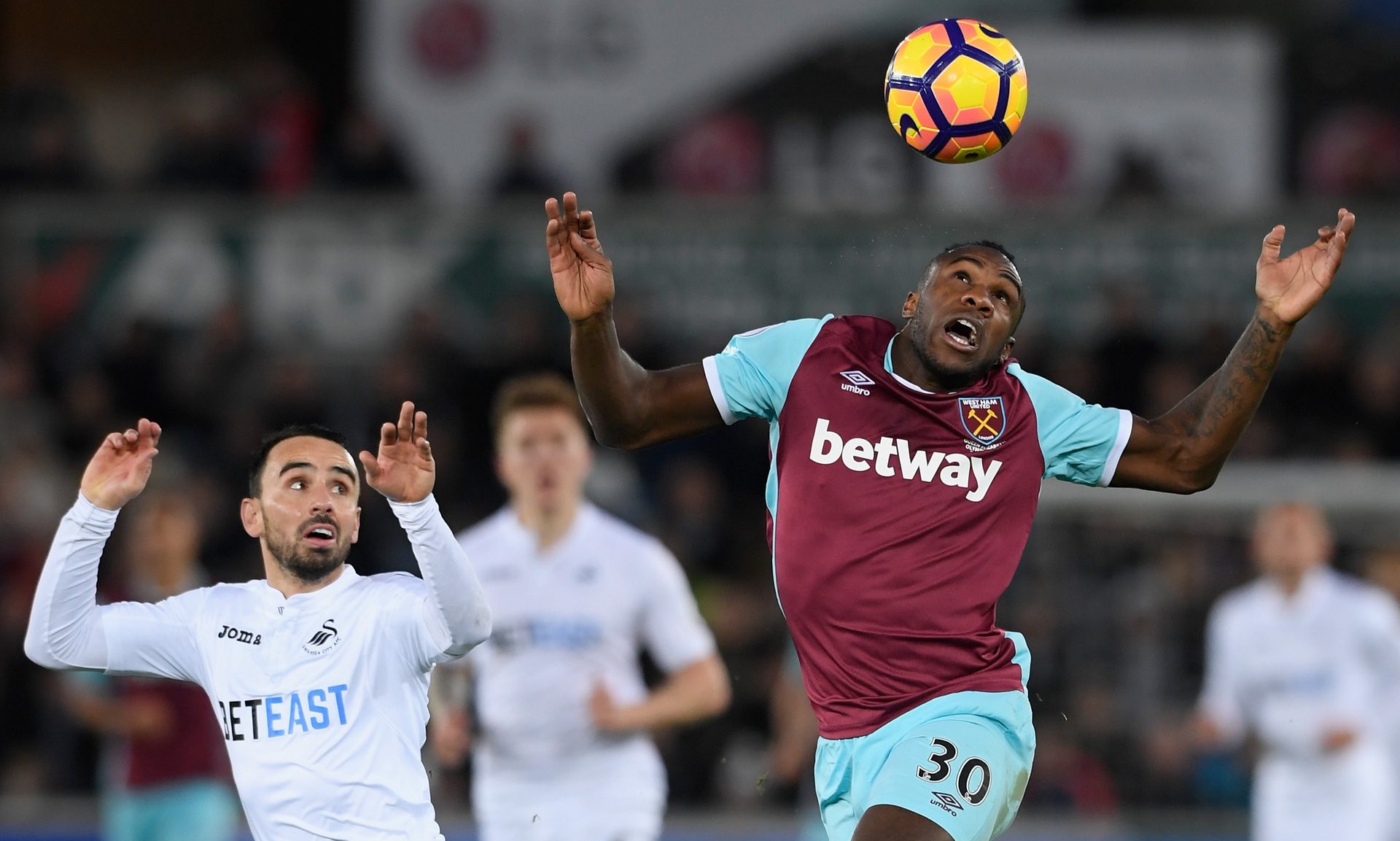 专注于自己 专注于自己